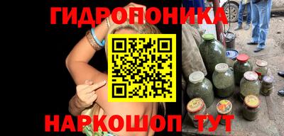дмт Новозыбков
